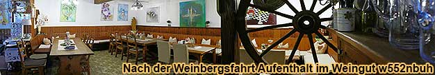 Nach der Weinbergsfahrt oder der Glühweinwanderung Aufenthalt im Gutsausschank vom Weingut w552nbuh in Nierstein am Rhein.