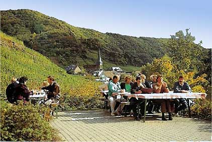 Rast bei der Kutschfahrt bei Mayscho im Ahrtal