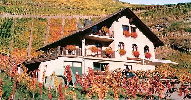 Weingut in Mayscho an der Ahr