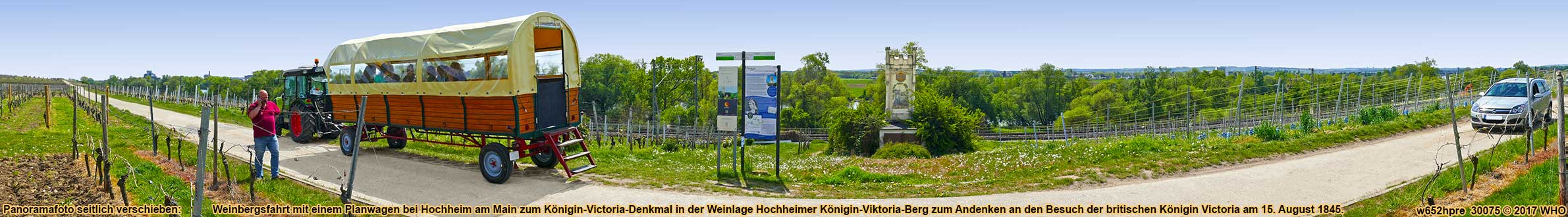 Rheingau-Weinbergsfahrt mit einem Planwagen bei Hochheim am Main zum Königin-Victoria-Denkmal am Königin-Viktoria-Berg.
