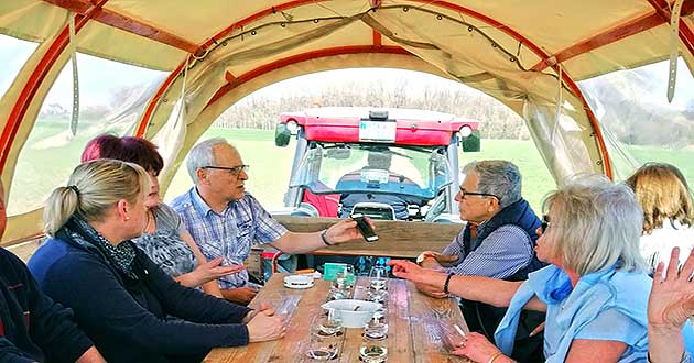 Weinbergsfahrt bei Hochheim am Main mit Traktor und Planwagen