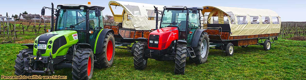 Weinbergsfahrt mit Traktor und Planwagen durch die Weinberge bei Hochheim am Main