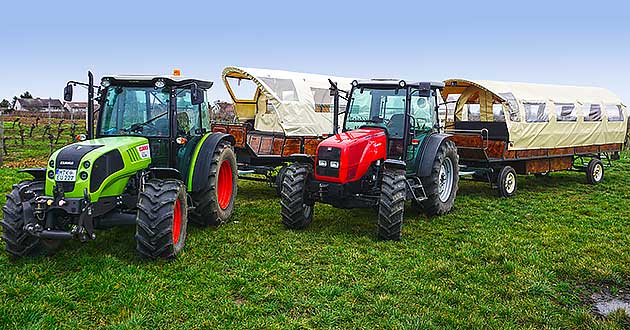 Weinbergsfahrt mit Traktor und Planwagen durch die Weinberge bei Hochheim am Main