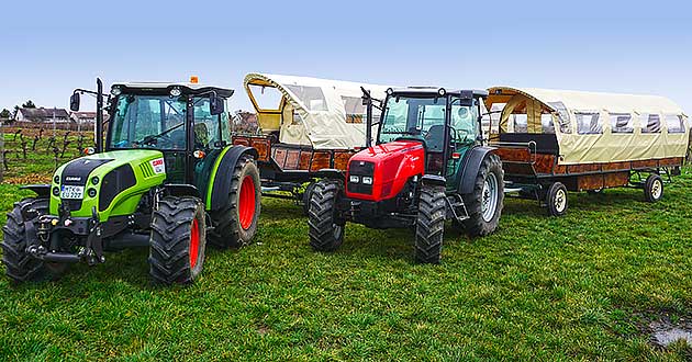 Weinbergsfahrt mit Traktor und Planwagen durch die Weinberge bei Hochheim am Main