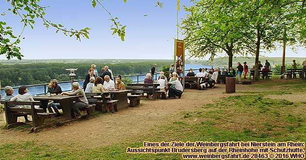 Weinbergsfahrt bei Nierstein am Rhein. Aussichtspunkt Brudersberg.