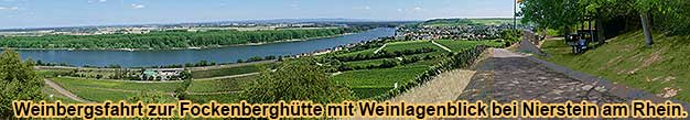 Rheinhessen-Weinwandertag Weinwanderung zur Fockenberghuette bei Nierstein am Rhein.