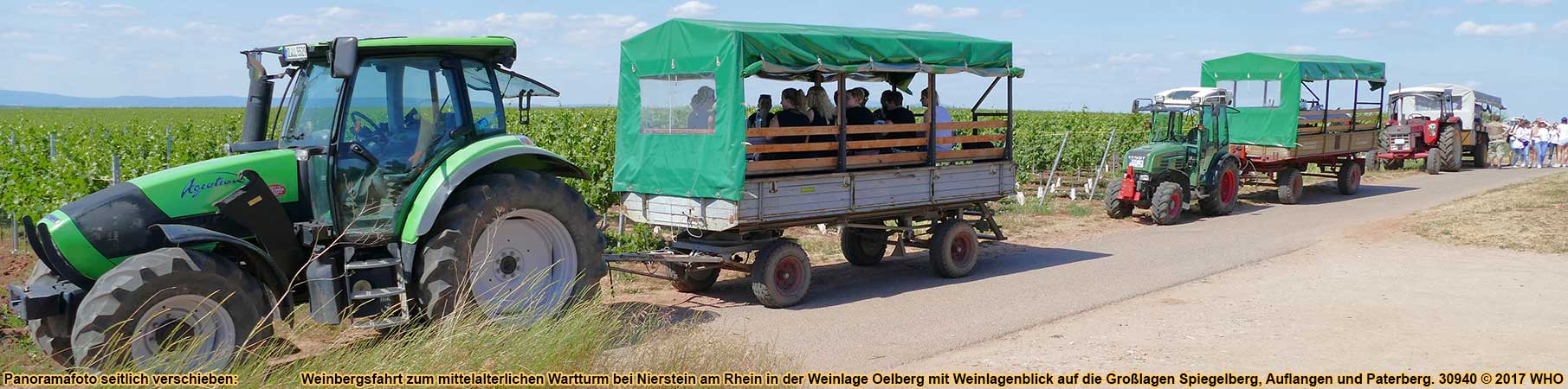 Weinbergsfahrt zur Fockenberghütte in der Weinlage Oelberg mit Blick auf die Weinlage Hipping bei Nierstein am Rhein.