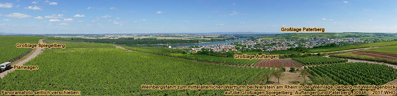 Weinbergsfahrt zum mittelalterlichen Wartturm bei Nierstein am Rhein in der Weinlage Oelberg mit Weinlagenblick auf die Großlagen Spiegelberg, Auflangen und Paterberg.