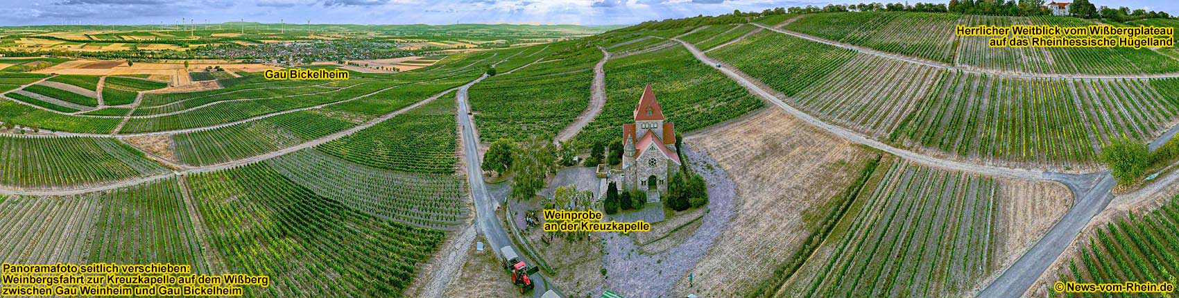 Weinbergsfahrt zum Wiberg, der zweithchsten Erhebung in Rheinhessen.