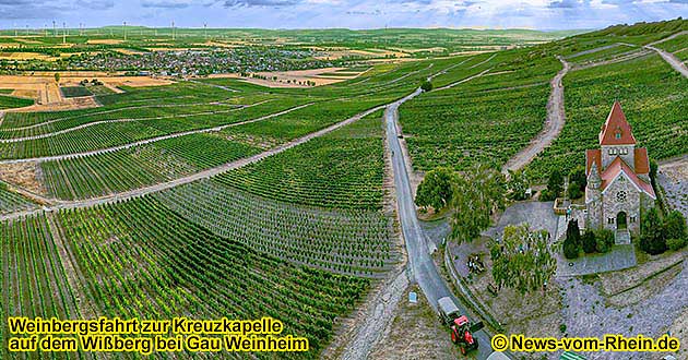 Weinbergsfahrt zum Wiberg, der zweithchsten Erhebung in Rheinhessen.