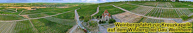 Weinbergsfahrt zum Wißberg, der zweithöchsten Erhebung in Rheinhessen.